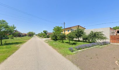 PACHET PLUS Strada Nicolae Bălcescu 102B