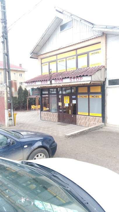 PONT IMPEX S.R.L. Str. Principala