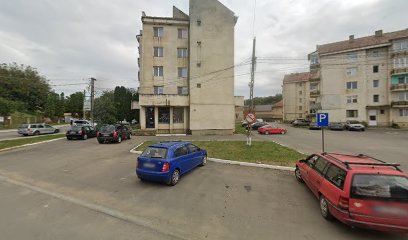 PRO ELECTRO CASA Piaţa Gării 108