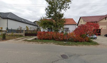 PRYourDistribution Strada Libertății