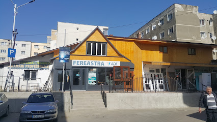 Palasanu Company Moinești