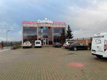 Pamuklu Str. Stejarului 183