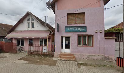 Partener Cramele Recaș Ștei Strada Miron Pompiliu 68