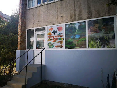 Petshop Acvaristic Brăila Strada Mihai Bravu 37-27
