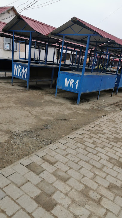 Piața Agroalimentară Săveni 715300