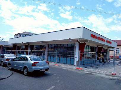 Piata Pucioasa 135400