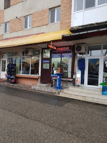 Picameronii srl Pucioasa Strada Republicii nr. 86