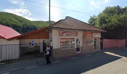 Piese Auto 325100 Anina