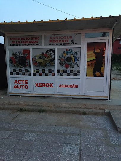 Piese Auto Si Articole de Pescuit Bulevardul Racoțeanu 172