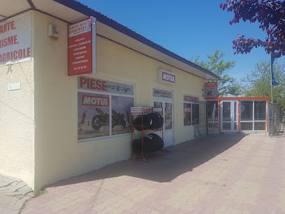 Piese Auto Si Gospodaresti Strada Traian 19