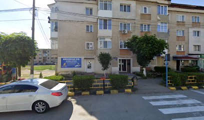 Piese auto Berbești