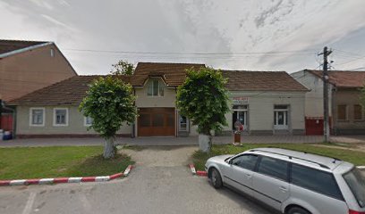 Piese auto Crețu Făget