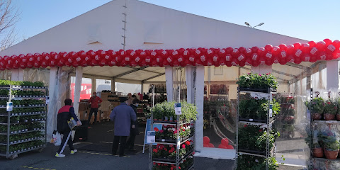 Pitești Retail Park DN65B F4
