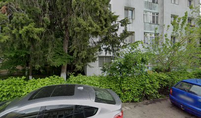 Podul De Piatra Proxi 2415 Strada Decebal 38