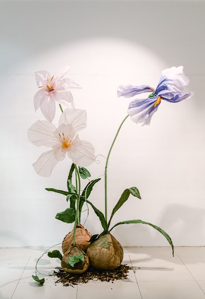 Prettydeco Strada Plantelor 24