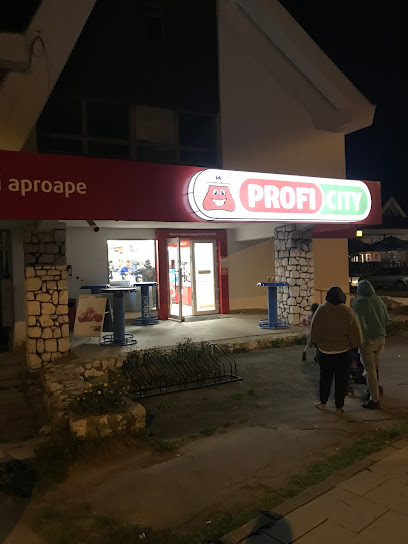 Profi City Bulevardul Mihail Săulescu 62
