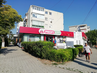 Profi City Strada Alexandru Pușkin 1