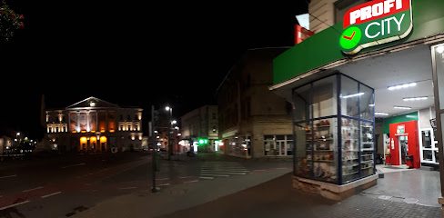 Profi City Strada Lucian Blaga 2