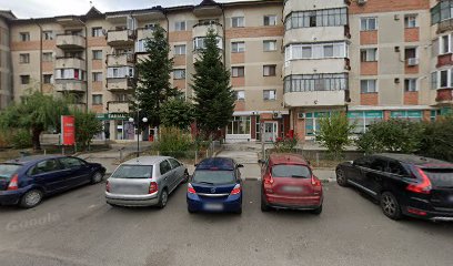 Profi Independenței Strada Independenței nr. 19D