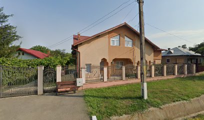 Profi Șoseaua Gruiu-Snagov 077115