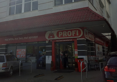 Profi Standard Bulevardul Pandurilor 50