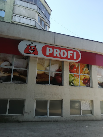 Profi Standard str. Castanelor bl. 32