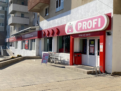 Profi Str. Al. Ioan Cuza nr. 2