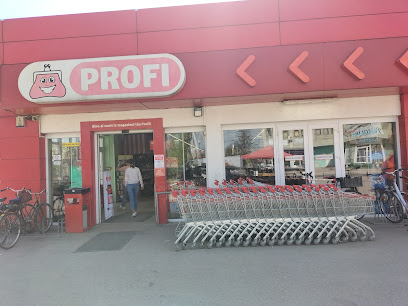 Profi Strada Ana Ipătescu 118