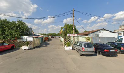 REZISTENT Călărași