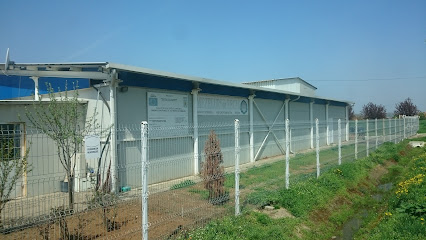 Recosemtract Mezeluri Orașul