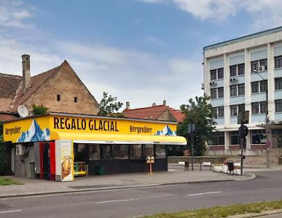 Regalo Glacial Strada Mihai Eminescu 6