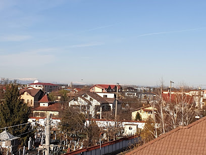 Rom Vest Strada Gării Otopeni