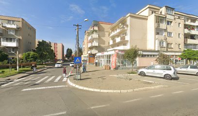 Rombiz Strada Laminoriştilor 19