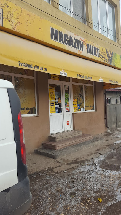 Romsav Strada Dunării 17