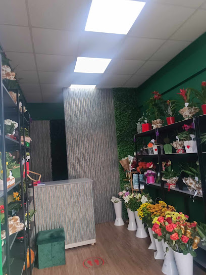 Rusu Oana Zeița florilor Strada Ștefan cel Mare și Sfânt