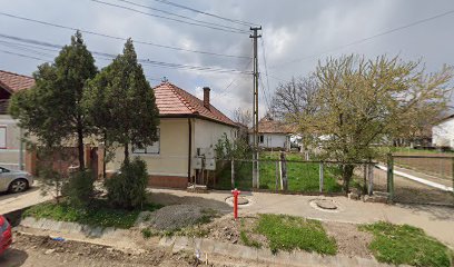 SC ALCUBRO SRL Strada Progresul 95