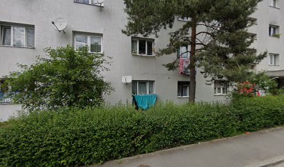 SC Augusta com SRL Strada Prunului 30