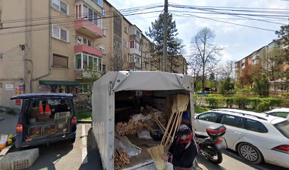 SC EDIL LUMINIȚA SRL Hațeg 335500