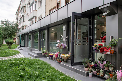 SC MIT IT CENTER SRL Strada Gării