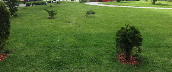 S.C. MangiGreen S.R.L. Strada Vânători