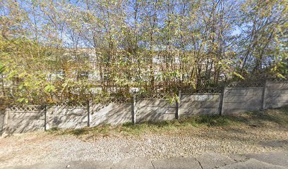 SC RIVEREXTRAGOLD SRL Strada Codrului 24