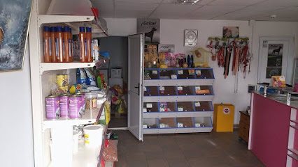 SC SOROLI SRL Strada Unirii 35