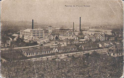 SC STOFE BUHUŞI S.A. Nr.