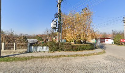 SC.Gesi.srl DC44 4