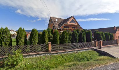 SEBESTYEN LEMN S.R.L. Strada Republicii 45