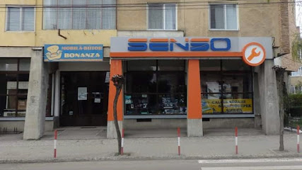 SENSO Strada Gheorghe Doja 2