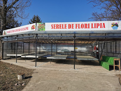 SERELE DE FLORI LIPIA Șoseaua Lipia-Nuci