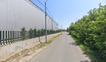 SOCIETATEA AGRICOLĂ OTOPENI Otopeni 075100