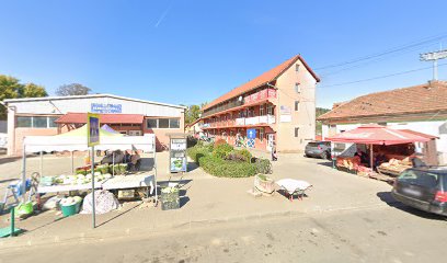 Sanovet Strada Vasile Bugariu 1