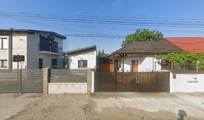 Satu mare Satu Mare
